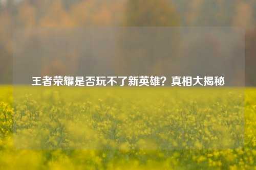 王者荣耀是否玩不了新英雄?真相大揭秘