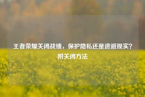 王者荣耀关闭战绩,保护隐私还是逃避现实?附关闭方法