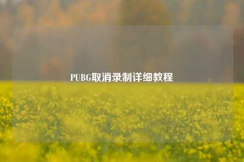 PUBG取消录制详细教程