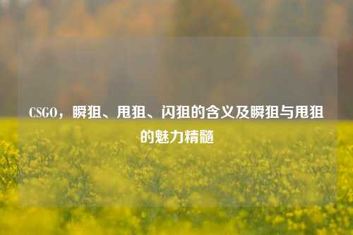 CSGO，瞬狙、甩狙、闪狙的含义及瞬狙与甩狙的魅力精髓