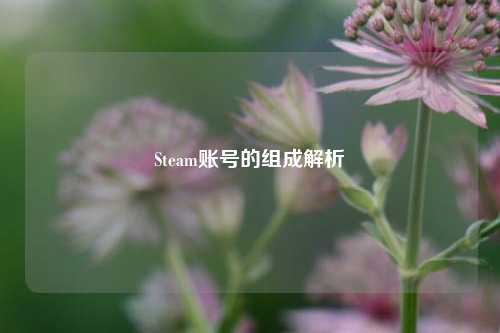 Steam账号的组成解析