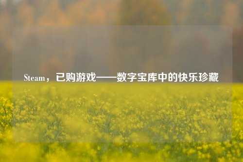 Steam,已购游戏——数字宝库中的快乐珍藏