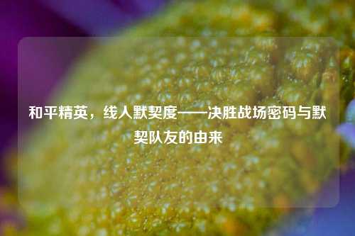 和平精英,线人默契度——决胜战场密码与默契队友的由来