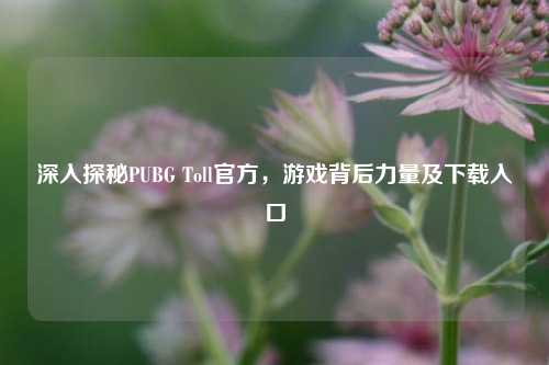 深入探秘PUBG Toll官方,游戏背后力量及下载入口