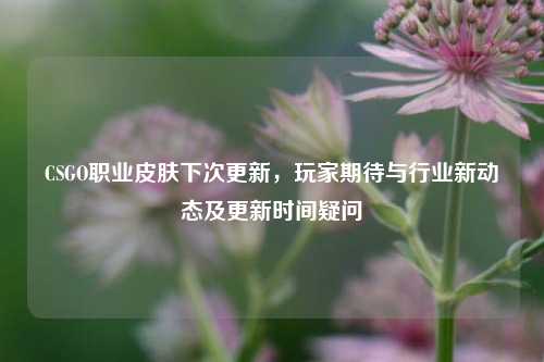 CSGO职业皮肤下次更新,玩家期待与行业新动态及更新时间疑问