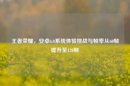 王者荣耀,安卓6.0系统体验挑战与帧率从60帧提升至120帧