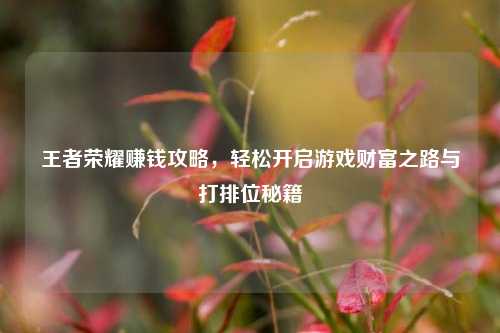 王者荣耀赚钱攻略,轻松开启游戏财富之路与打排位秘籍
