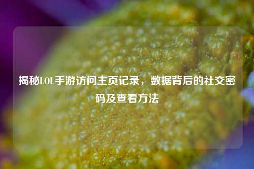 揭秘LOL手游访问主页记录,数据背后的社交密码及查看方法