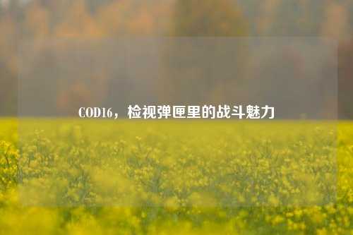 COD16,检视弹匣里的战斗魅力