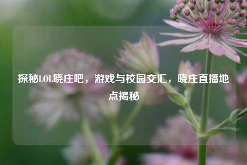 探秘LOL晓庄吧,游戏与校园交汇,晓庄直播地点揭秘