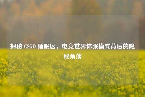 探秘 CSGO 睡眠区,电竞世界休眠模式背后的隐秘角落