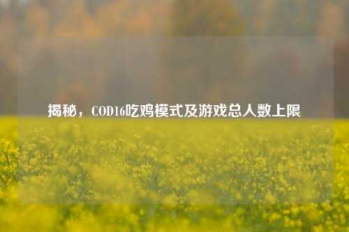 揭秘,COD16吃鸡模式及游戏总人数上限
