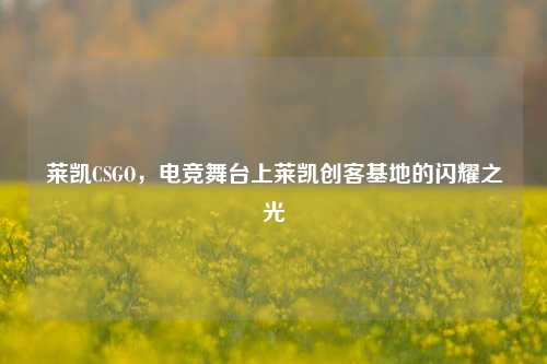 莱凯CSGO,电竞舞台上莱凯创客基地的闪耀之光