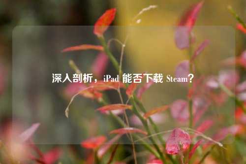 深入剖析,iPad 能否下载 Steam?