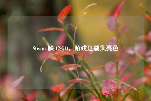 Steam 缺 CSGO,游戏江湖失亮色