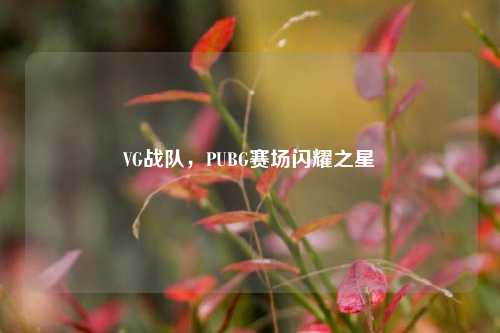 VG战队，PUBG赛场闪耀之星