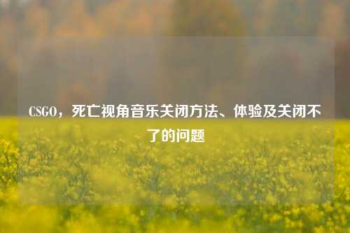 CSGO,死亡视角音乐关闭方法、体验及关闭不了的问题