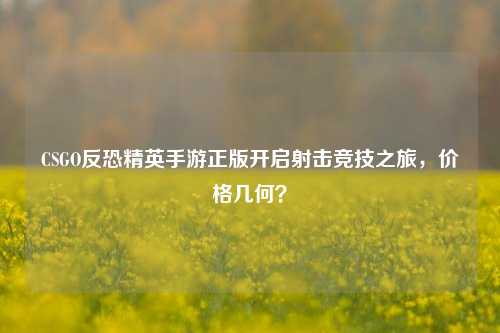 CSGO反恐精英手游正版开启射击竞技之旅,价格几何?