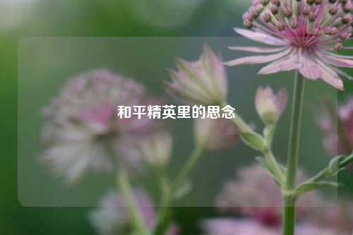 和平精英里的思念