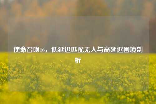 使命召唤16,低延迟匹配无人与高延迟困境剖析