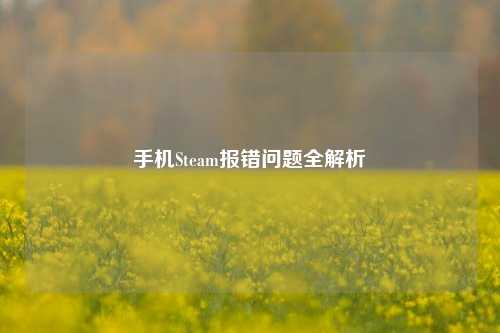 手机Steam报错问题全解析