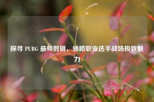 探寻 PUBG 最帅剪辑,领略职业选手战场极致魅力