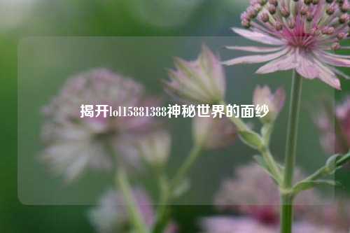 揭开lol15881388神秘世界的面纱