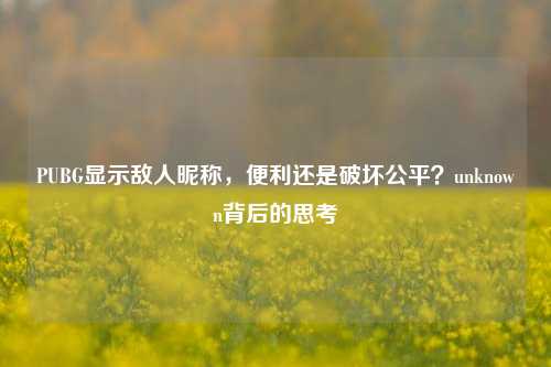 PUBG显示敌人昵称,便利还是破坏公平?unknown背后的思考