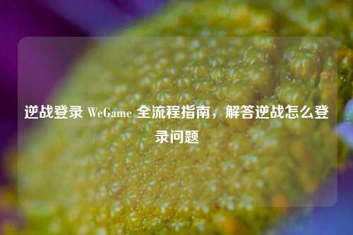 逆战登录 WeGame 全流程指南,解答逆战怎么登录问题