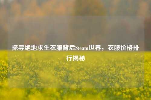 探寻绝地求生衣服背后Steam世界,衣服价格排行揭秘