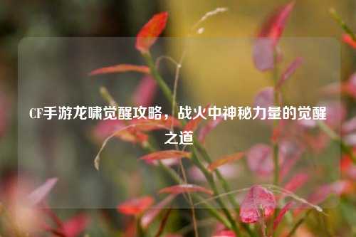 CF手游龙啸觉醒攻略,战火中神秘力量的觉醒之道