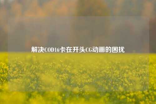 解决COD16卡在开头CG动画的困扰
