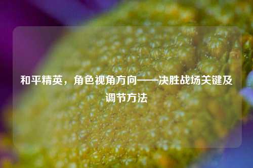 和平精英,角色视角方向——决胜战场关键及调节方法