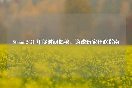 Steam 2021 年促时间揭秘,游戏玩家狂欢指南