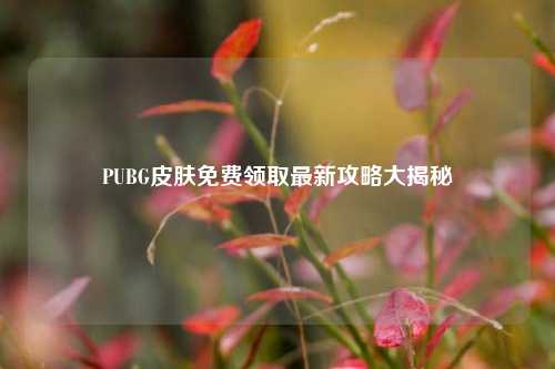 PUBG皮肤免费领取最新攻略大揭秘