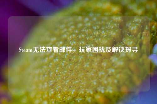 Steam无法查看邮件,玩家困扰及解决探寻