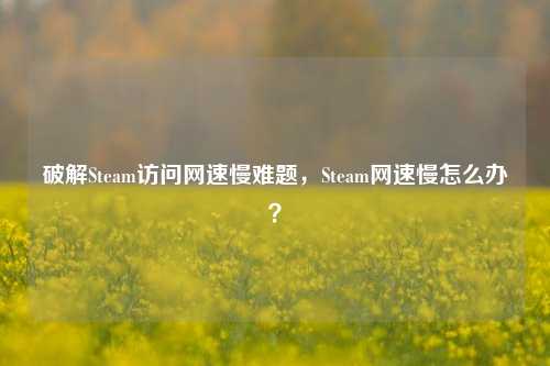 破解Steam访问网速慢难题,Steam网速慢怎么办?