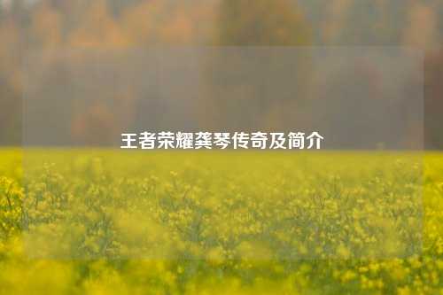 王者荣耀龚琴传奇及简介