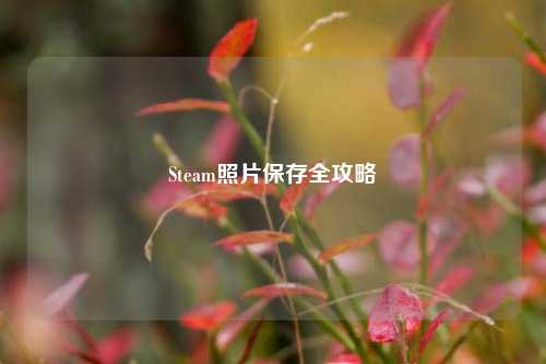 Steam照片保存全攻略