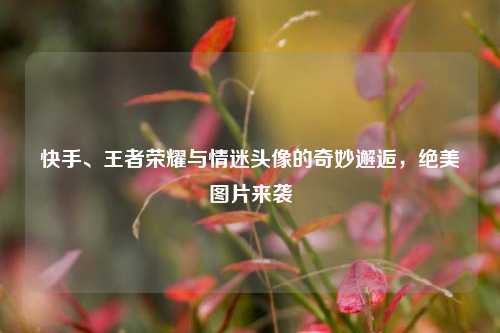 快手、王者荣耀与情迷头像的奇妙邂逅,绝美图片来袭