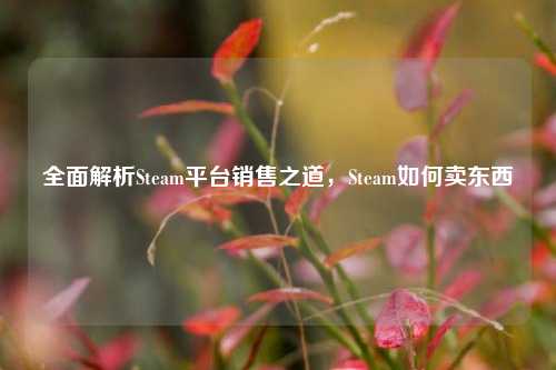 全面解析Steam平台销售之道,Steam如何卖东西
