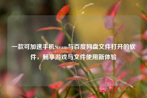 一款可加速手机Steam与百度网盘文件打开的软件,畅享游戏与文件使用新体验