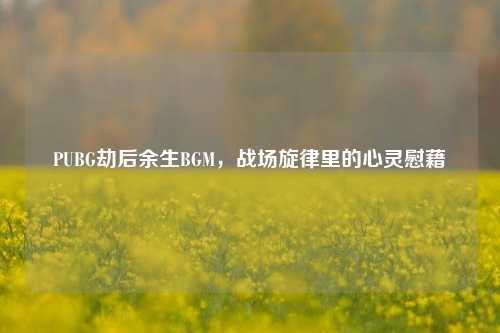 PUBG劫后余生BGM,战场旋律里的心灵慰藉