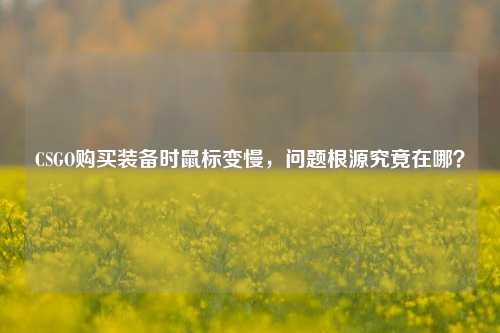 CSGO购买装备时鼠标变慢,问题根源究竟在哪?