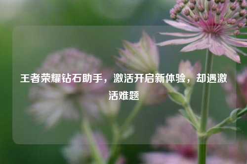 王者荣耀钻石助手,激活开启新体验,却遇激活难题