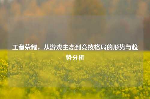 王者荣耀,从游戏生态到竞技格局的形势与趋势分析
