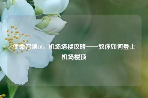 使命召唤16,机场塔楼攻略——教你如何登上机场楼顶