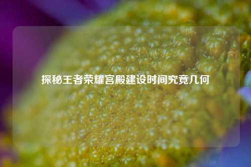 探秘王者荣耀宫殿建设时间究竟几何