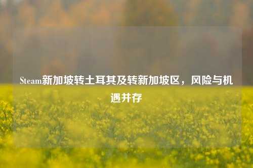 Steam新加坡转土耳其及转新加坡区，风险与机遇并存