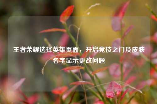 王者荣耀选择英雄页面,开启竞技之门及皮肤名字显示更改问题
